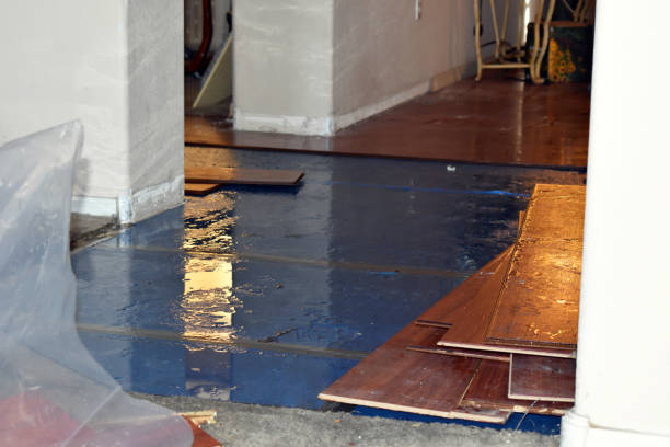 Professional Basement Water Removal technician working in Springfield, MI