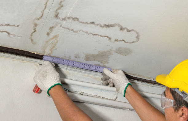 Reliable Basement Water Removal contractor in Springfield, MI by Water Damage Irwin